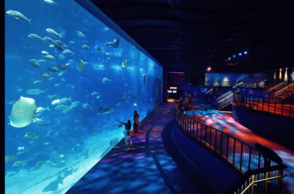people watching marine creatures through huge viewing panel in singapore aquarium
