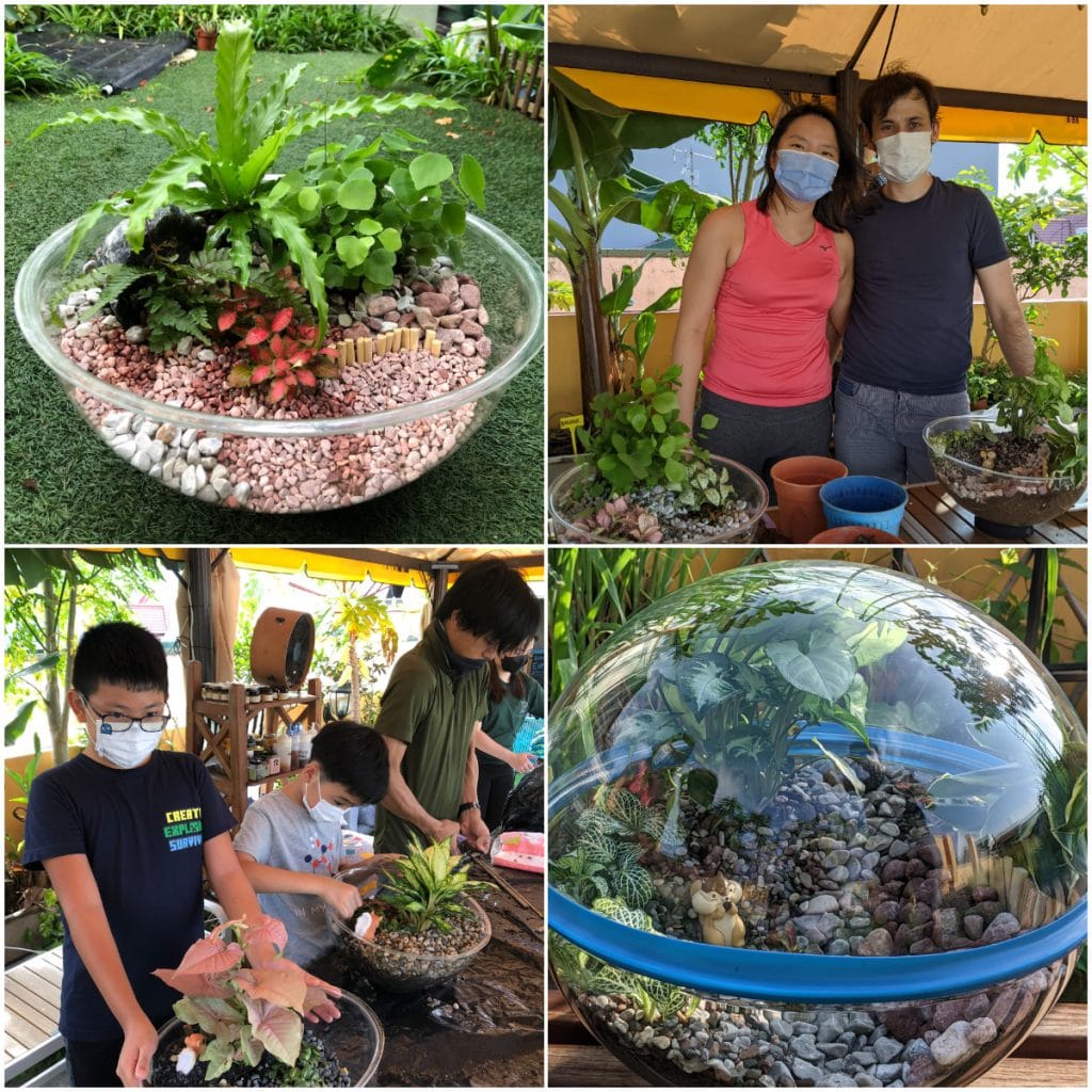 images of terrarium and people making terrariums on a rooftop