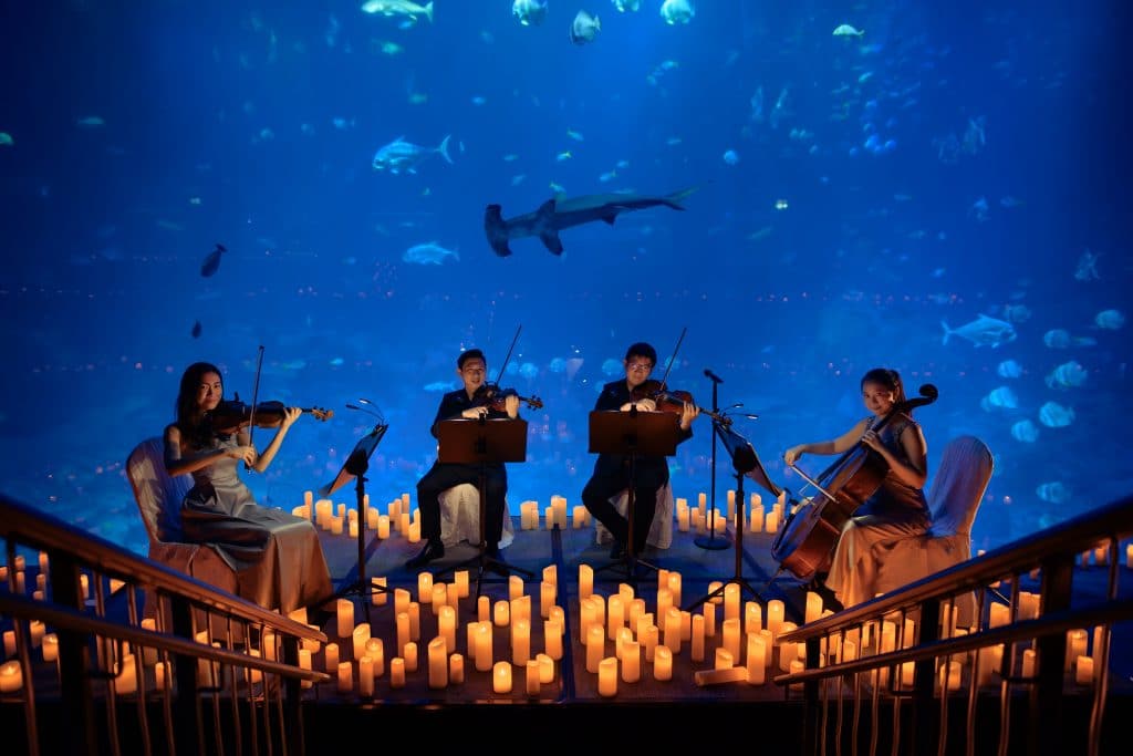 string quartet performing in front of an aquarium for candlelight