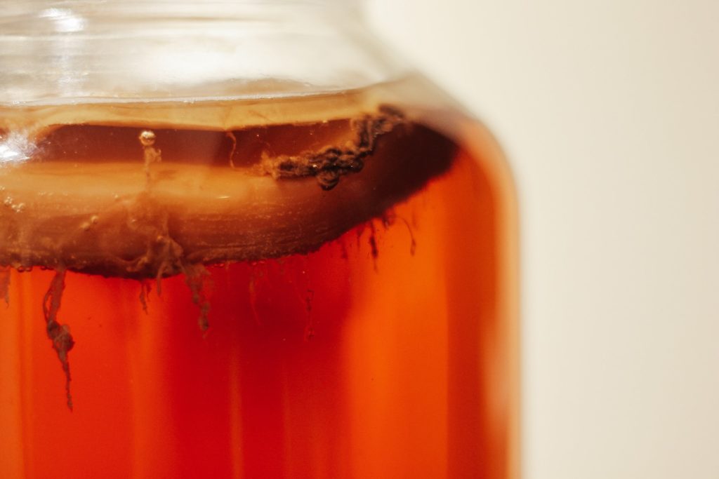 close up of sealed jar with kombucha during fermentation workshop